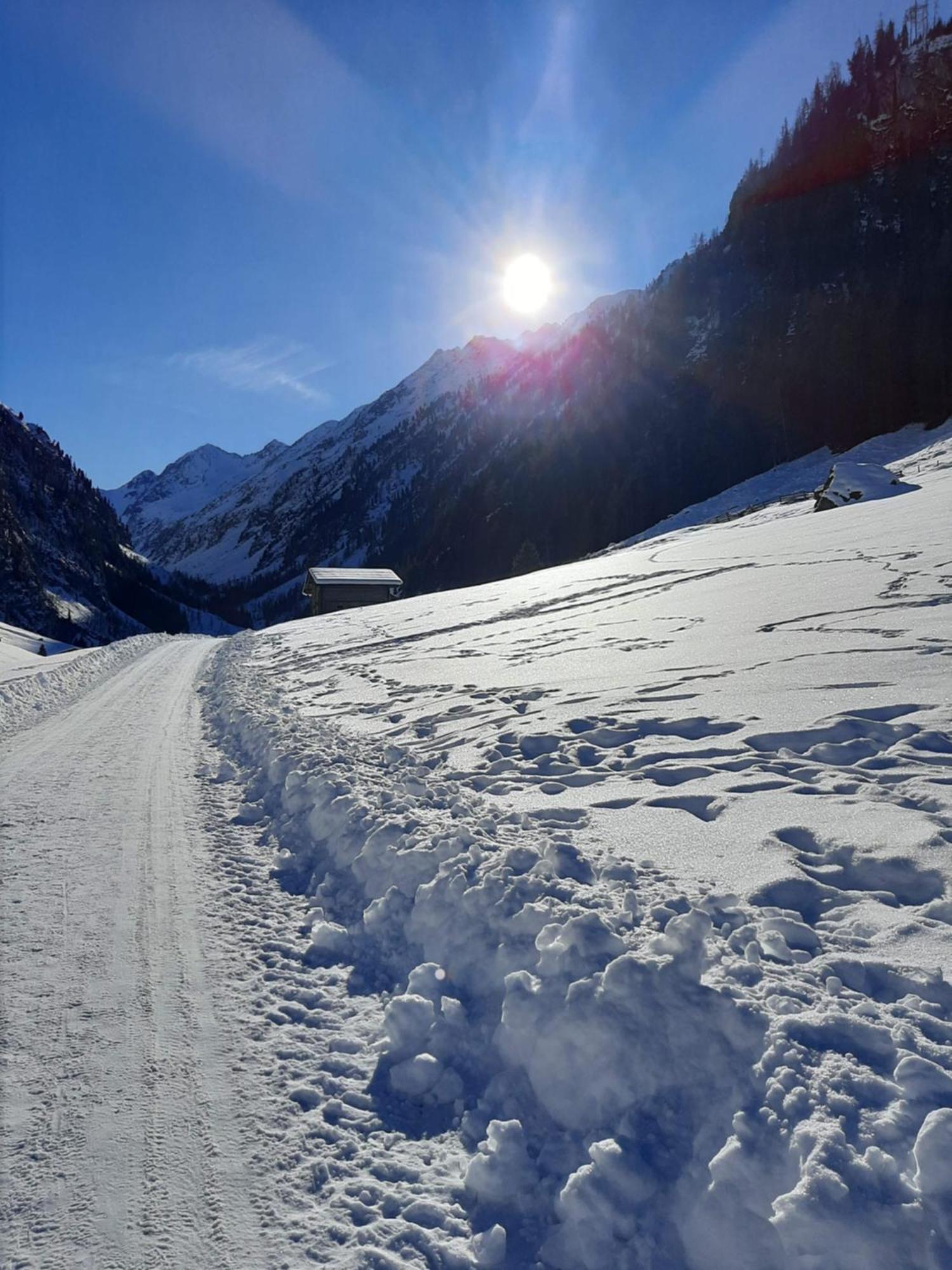 Apart Alexandra Strass im Zillertal Habitación foto